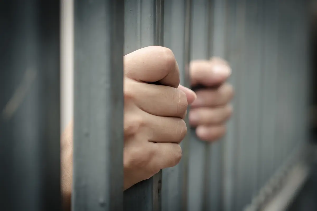 NDPS Act Lawyer in India: Guide to Navigating Drug Offense Cases 7 NDPS Act Lawyer in India explaining the legal process involved in NDPS cases.